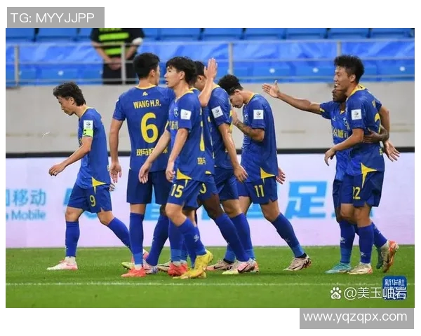 南京足球队战术解析与未来发展方向的深度探讨