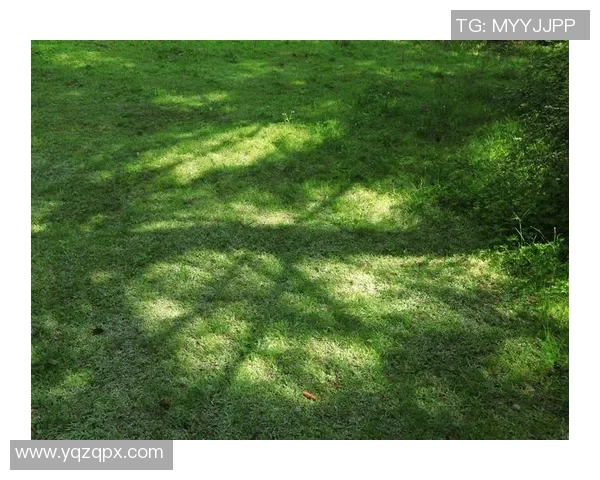 足球的灵魂之旅：深入探讨北京足球队的战术与精神内涵